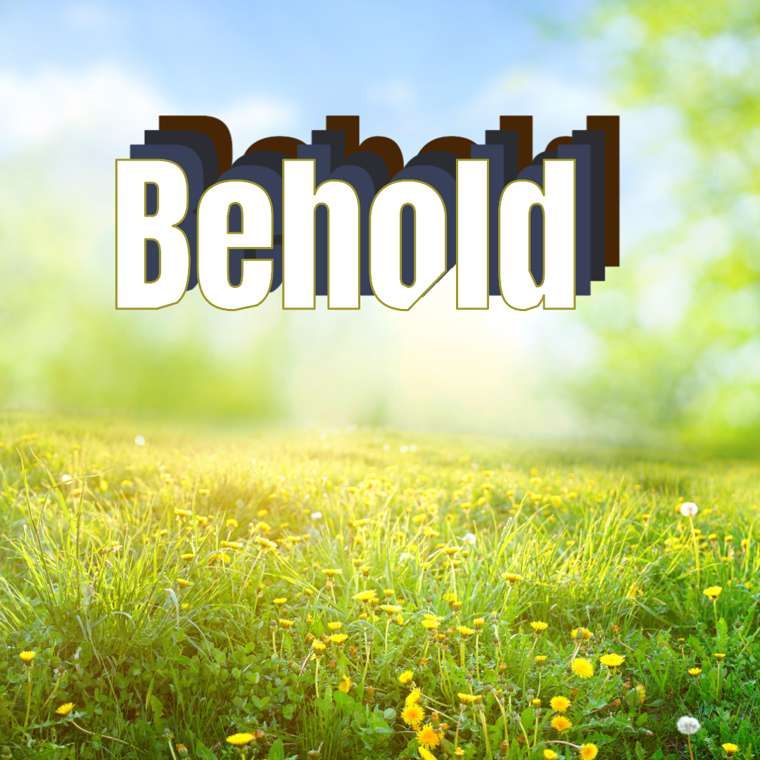 Behold!