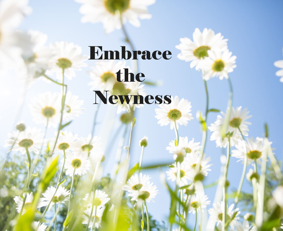 Embrace the Newness!!